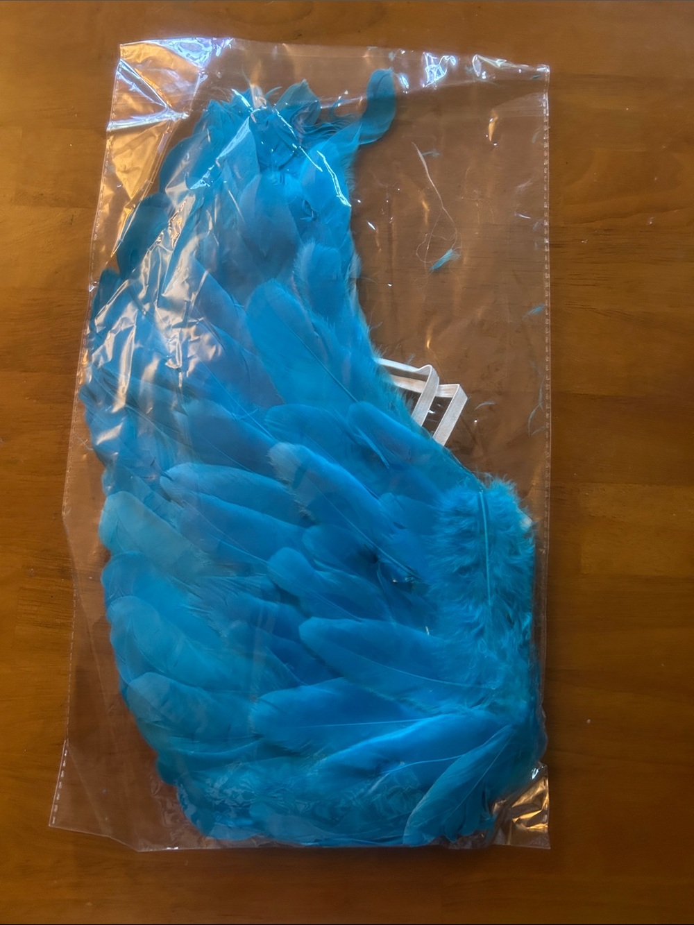 Pair of teal colored wings for costume.